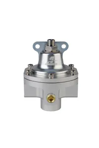 Aeromotive Fuel System 13222