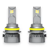 ARC Lighting 22971