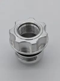 Granatelli Motorsports 280117