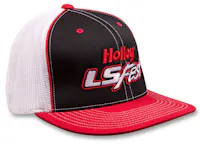 Holley 10166-LGHOL