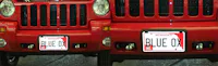 Blue OX BX1119