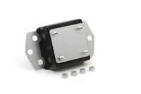 Daystar KJ01006BK