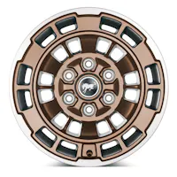 Ford Racing M-1007-P1785BRN
