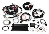 Holley EFI 550-613
