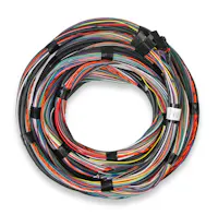 Holley EFI 558-126