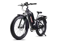 Young Electric 12803007MFBLK