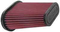 AEM Induction Systems 21-1017DK