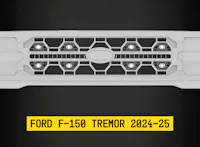 ARC Lighting 42FB8