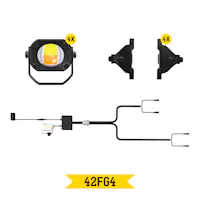 ARC Lighting 42FG4