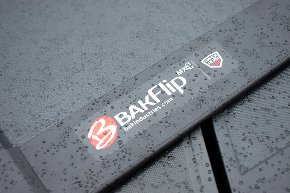 BAK 448133