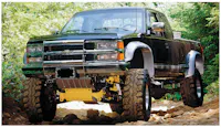 Bushwacker 40010-11