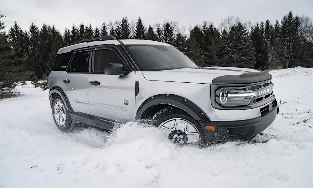 Bushwacker 20952-02