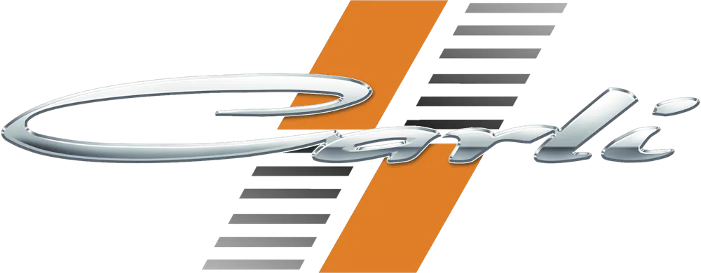 Carli Suspension CS-FLSK2510