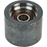 Cloyes B10171