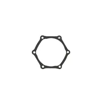 Cometic Gasket C15011-032