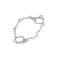 Cometic Gasket C15097