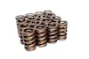 Howards Cams 98212