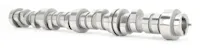 Competition Cams 224-300-13