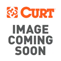 CURT 2025047555