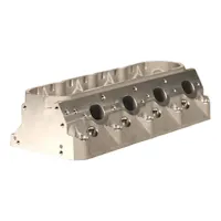Dart 11010020