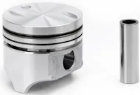 Dualoy Diesel Pistons S1173D.020