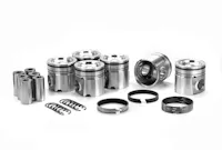 Dualoy Diesel Pistons 7202DKT.75MM