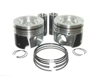 Dualoy Diesel Pistons 7233DKT.1.0MM