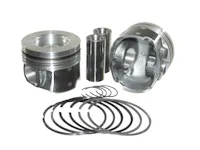 Dualoy Diesel Pistons 7235DKP.5MM