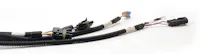 FAST - Fuel Air Spark Technology 301100