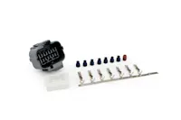 FAST - Fuel Air Spark Technology 301422K