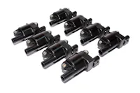 FAST - Fuel Air Spark Technology 30256-8