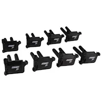 FAST - Fuel Air Spark Technology 30389-8