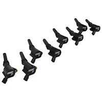 FAST - Fuel Air Spark Technology 30390-8