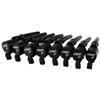 FAST - Fuel Air Spark Technology 30391-8