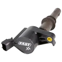 FAST - Fuel Air Spark Technology 30393-1