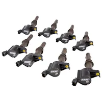 FAST - Fuel Air Spark Technology 30393-8