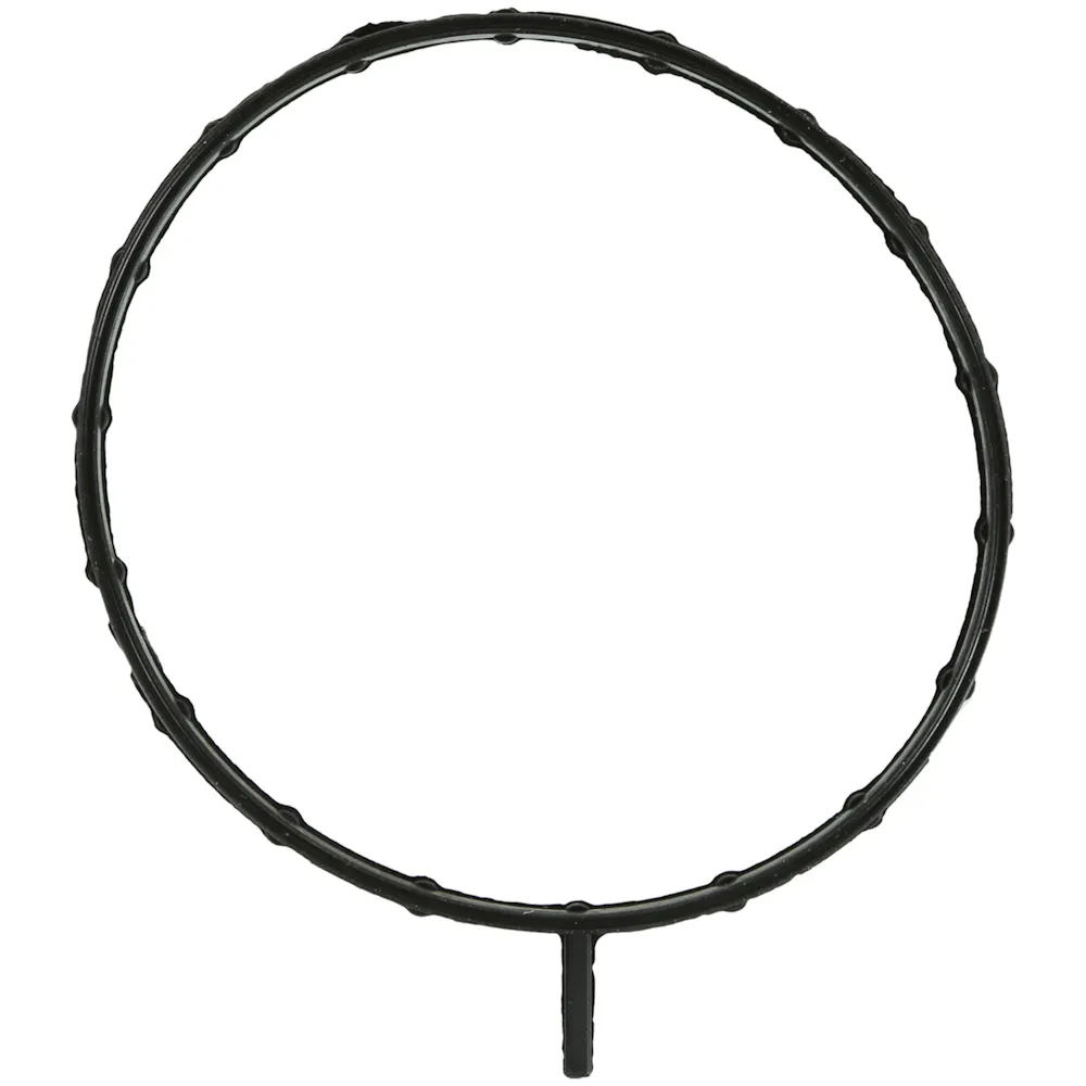 FEL-PRO 61672
