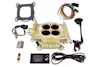 FiTech 30002