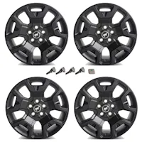Ford Racing M-1007K-S17BSB