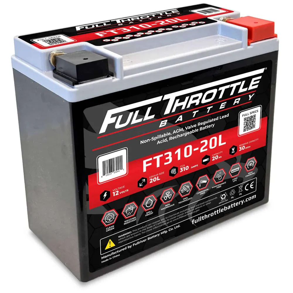 FVB FT310-20L