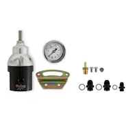 Holley EFI 12-895KIT