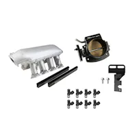 Holley EFI 300-116-100K