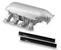 Holley EFI 300-135