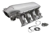 Holley EFI 300-142