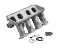 Holley EFI 300-237
