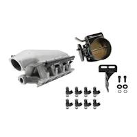 Holley EFI 300-242-120K