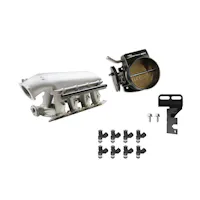 Holley EFI 300-273-42K