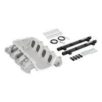 Holley EFI 300-713