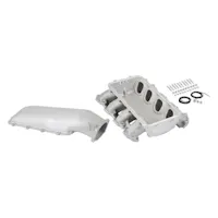 Holley EFI 300-715