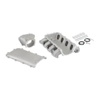 Holley EFI 300-716